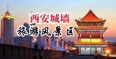 肏骚妇逼中国陕西-西安城墙旅游风景区